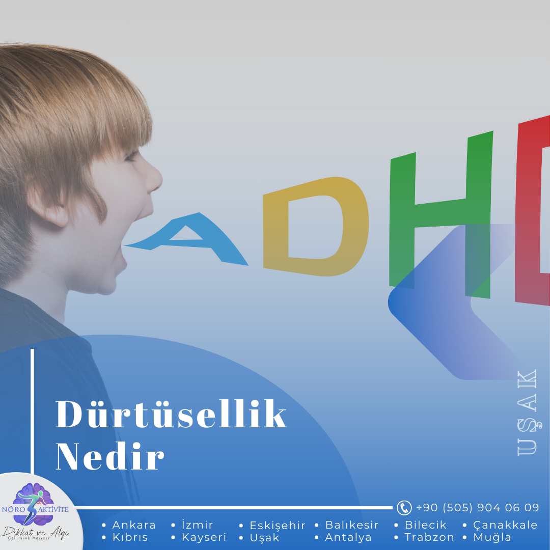 Dürtüsellik Nedir?
